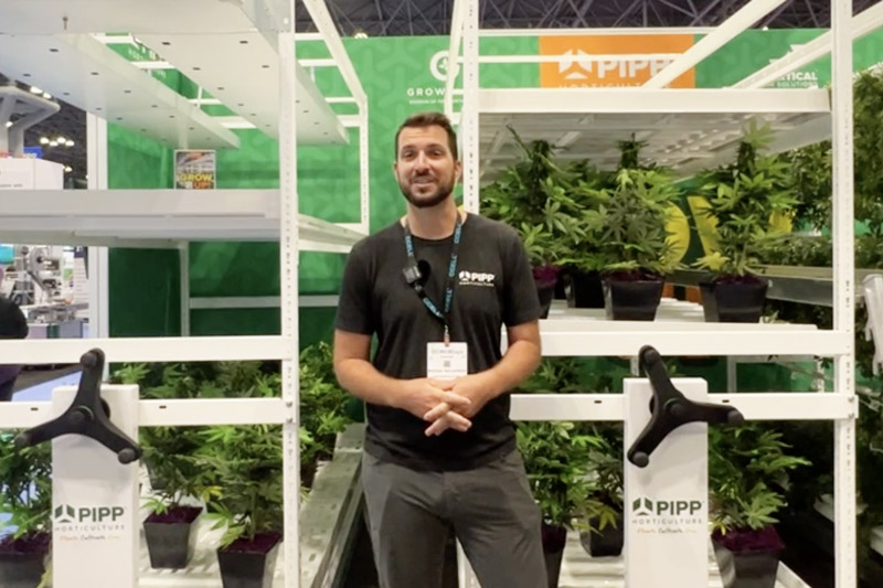 Michael Williamson, Director of Cultivation, PIPP Horticulture