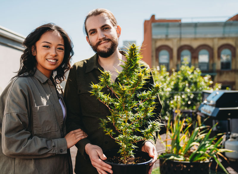 NYC Couple on rooftop with cannabis plant