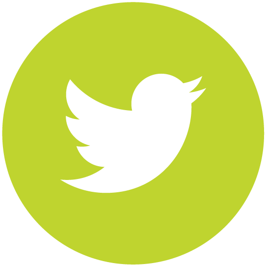 Twitter Logo light green