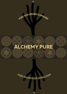 Alchemy Pure
