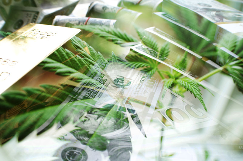 Cannabis leaves and dollars